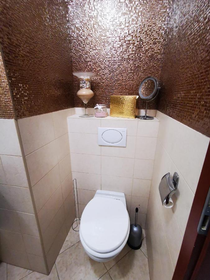 Apartmán Luxury Basement In The Surrounding Of Budapest Mogyoród Exteriér fotografie