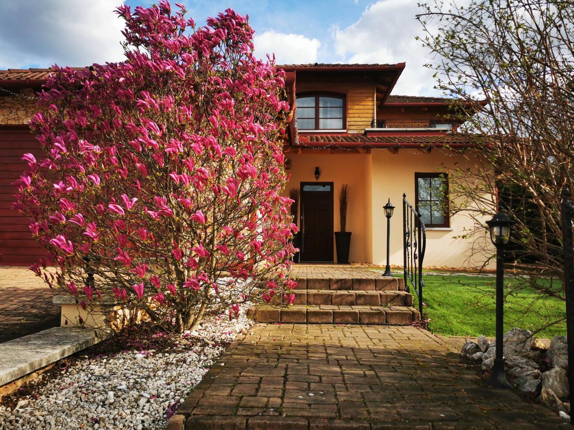 Apartmán Luxury Basement In The Surrounding Of Budapest Mogyoród Exteriér fotografie